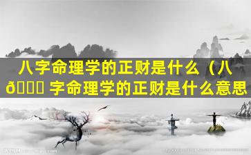 八字命理学的正财是什么（八 🍁 字命理学的正财是什么意思）